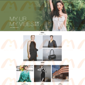 电商/企业官网-UR-2411