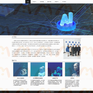 企业-大数据公司-2319